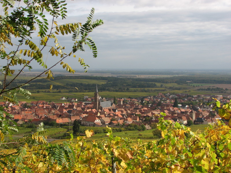 2009.10.11.vignoble.0008.JPG