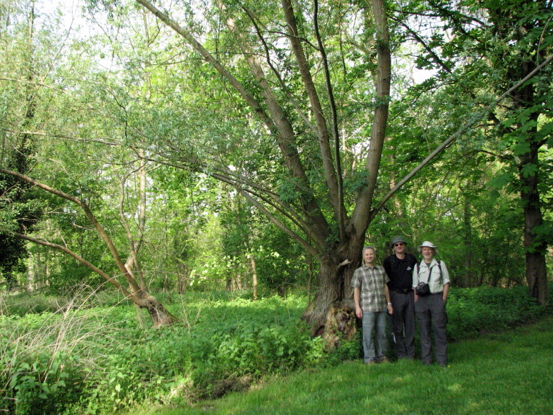 2009.04.26.wantzenau.0008.JPG