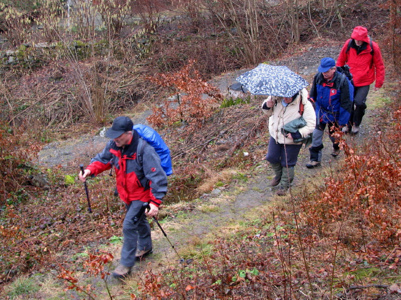 2011.02.20.belchen.0010.JPG